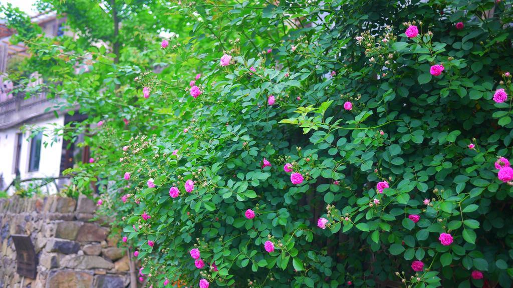 Moganshan Bamboo View Guesthouse Deqing ภายนอก รูปภาพ
