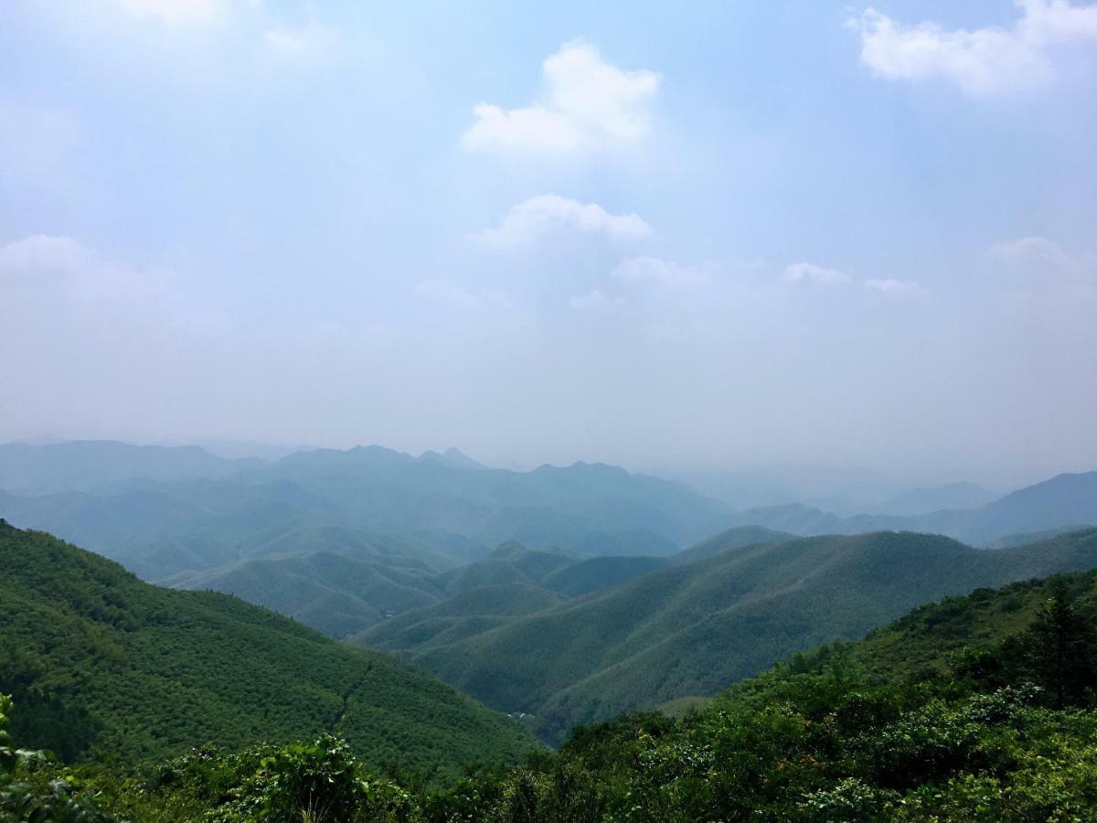Moganshan Bamboo View Guesthouse Deqing ภายนอก รูปภาพ